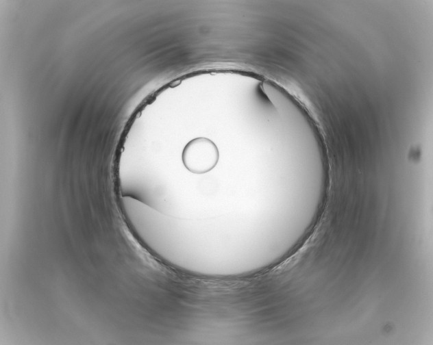 X0000093131181200710241317