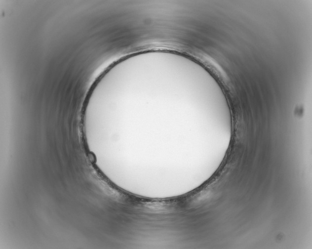 X0000093131182200710241317