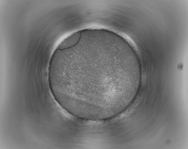 X0000093131183200710241317
