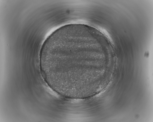 X0000093131184200710241317