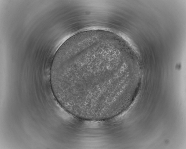 X0000093131185200710241317