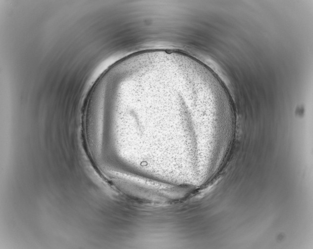 X0000093131187200710241317