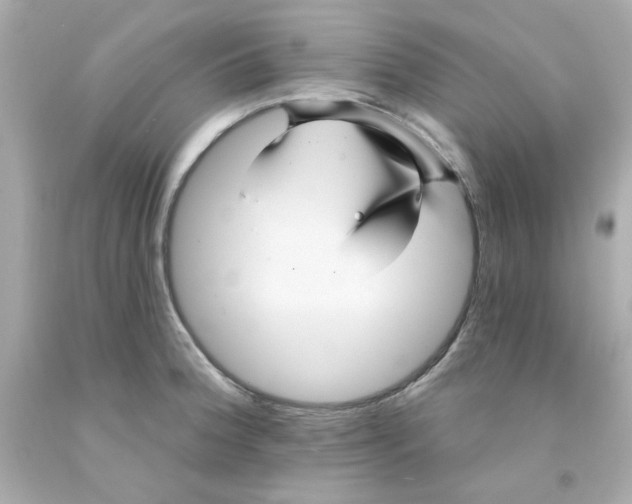 X0000093131188200710241317