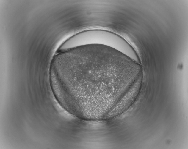 X0000093131189200710241317