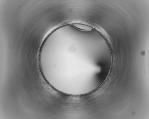 X0000093131190200710241317