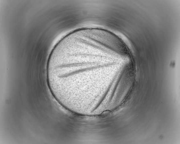 X0000093131191200710241316