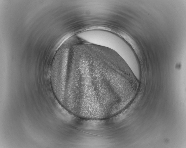 X0000093131193200710241316