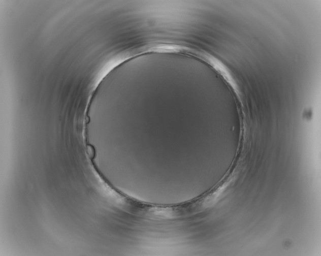 X0000093131194200710241316