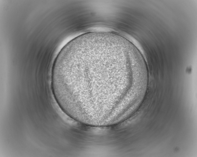 X0000093131195200710241316
