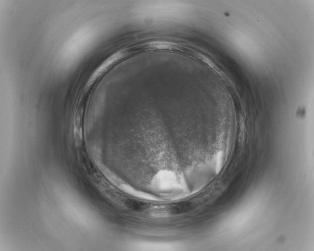 X0000093131198200710241316
