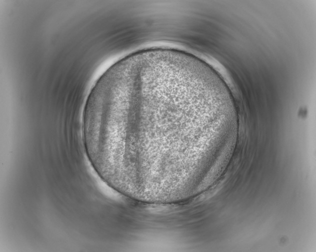 X0000093131199200710241316