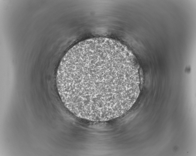 X0000093131201200710241316