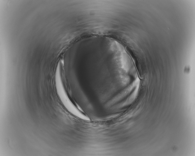 X0000093131202200710241316
