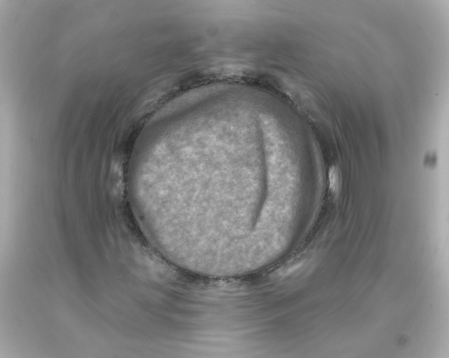 X0000093131203200710241316