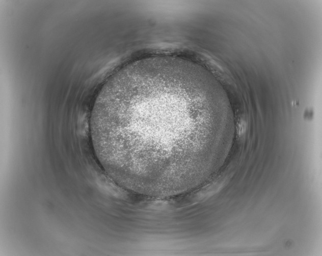 X0000093131204200710241316
