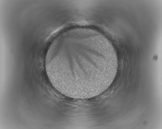 X0000093131205200710241316