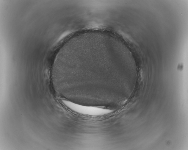 X0000093131206200710241316