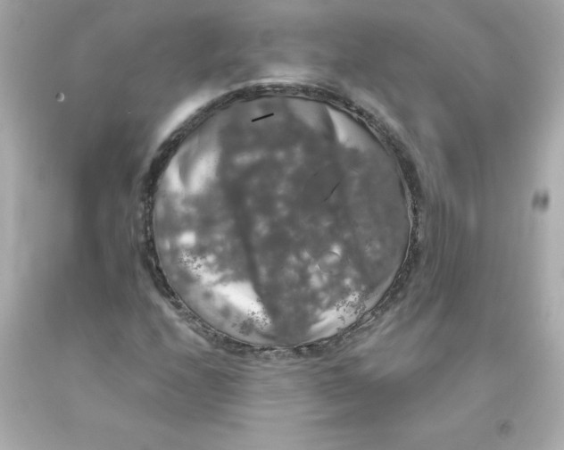 X0000093131208200710241316