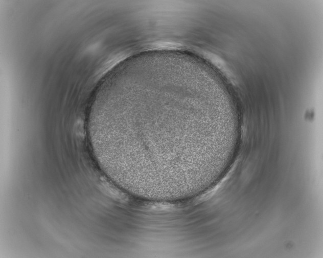 X0000093131209200710241316