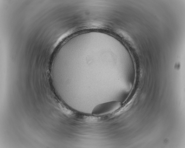 X0000093131210200710241316