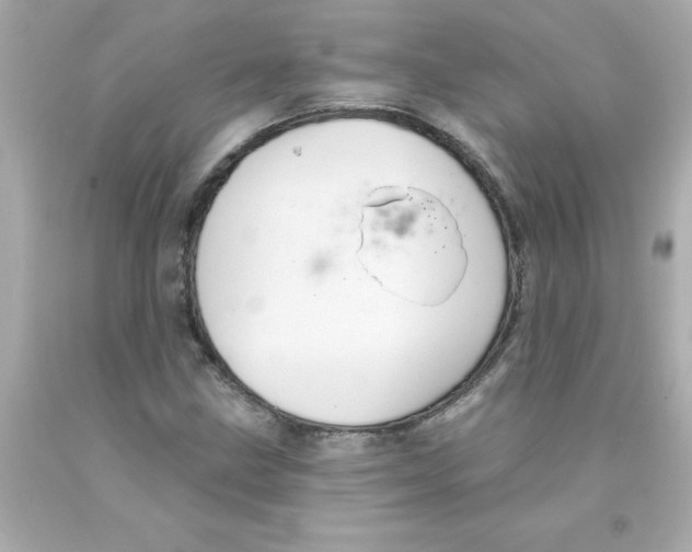 X0000093131211200710241316