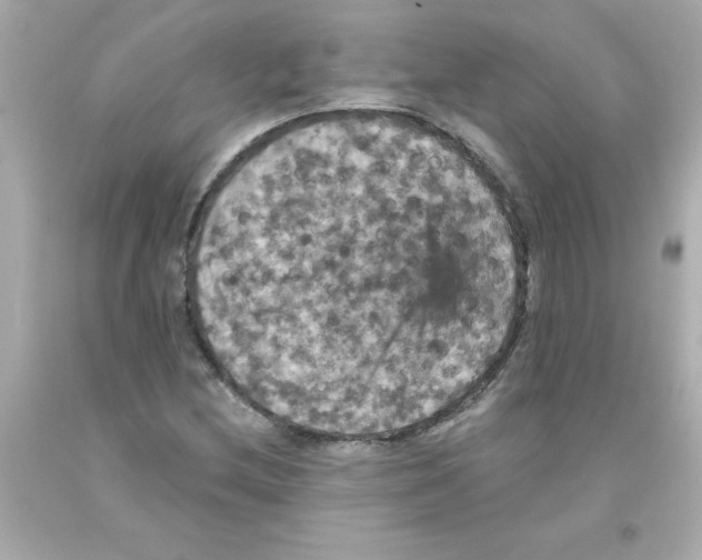 X0000093131212200710241316
