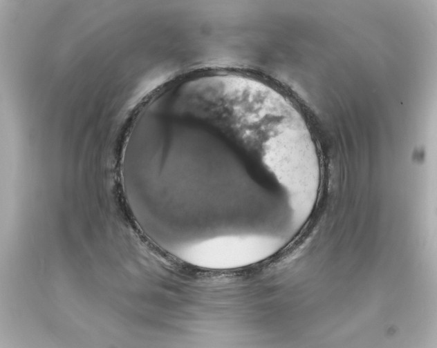 X0000093131213200710241316