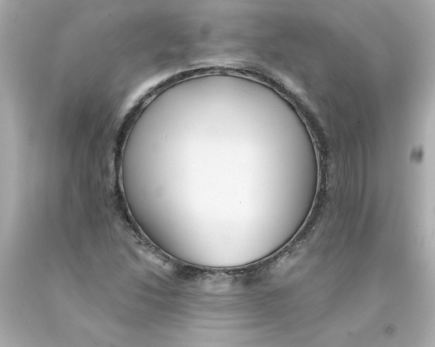 X0000093131214200710241316