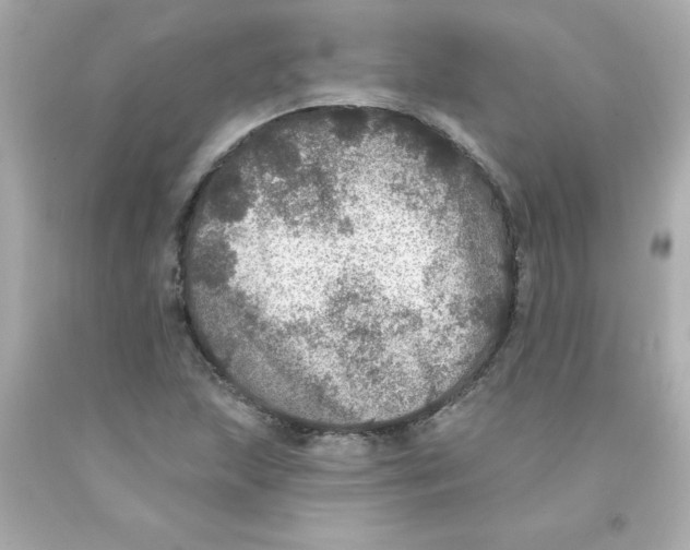 X0000093131215200710241316
