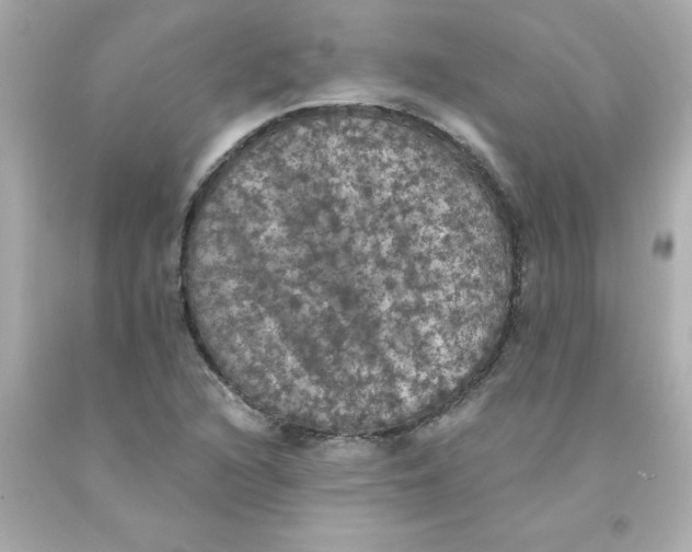 X0000093131216200710241316