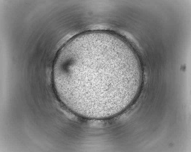 X0000093131217200710241316