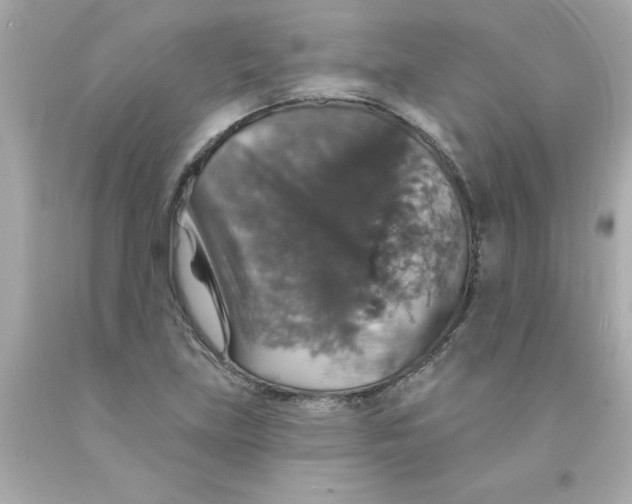 X0000093131219200710241316