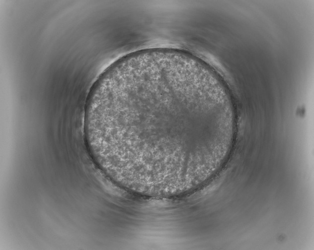 X0000093131220200710241316