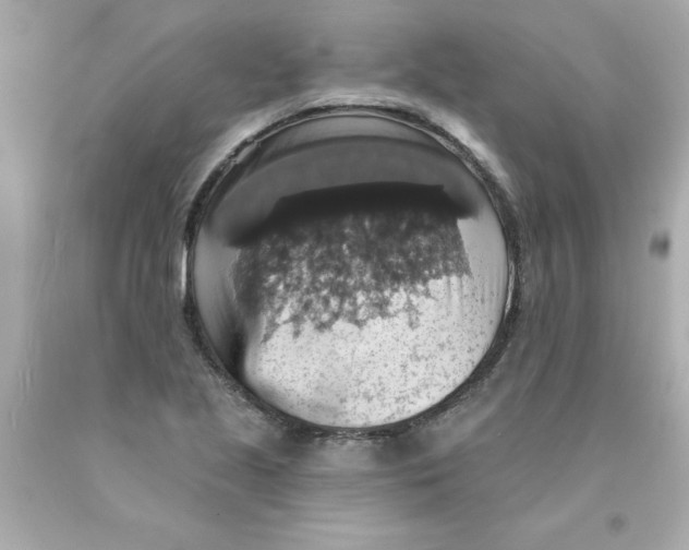 X0000093131221200710241316