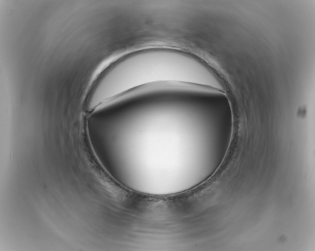 X0000093131222200710241316