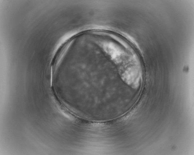 X0000093131223200710241316