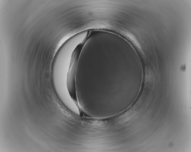 X0000093131226200710241316