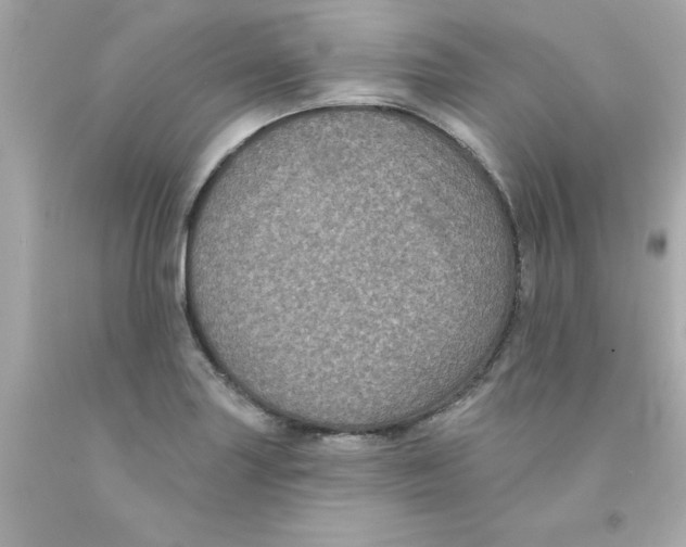 X0000093131227200710241316