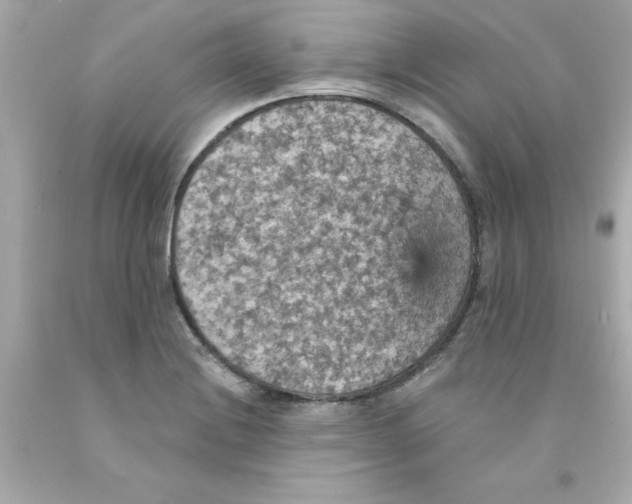 X0000093131228200710241316