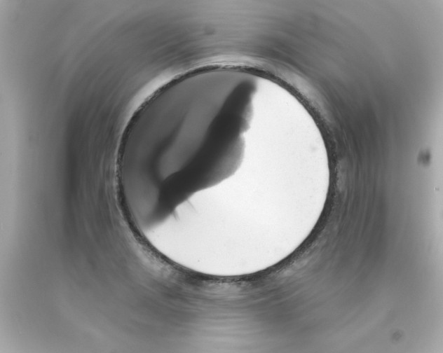 X0000093131229200710241316
