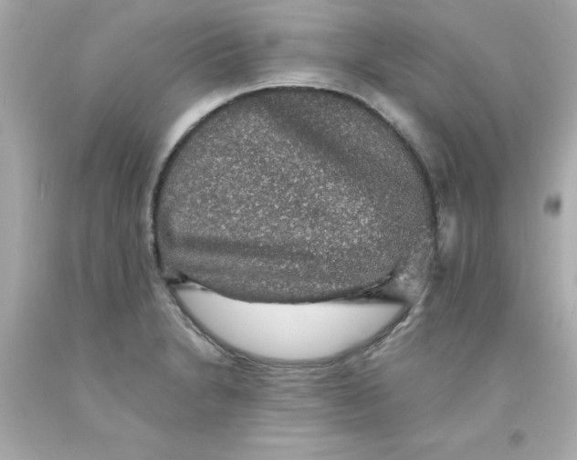 X0000093131230200710241316