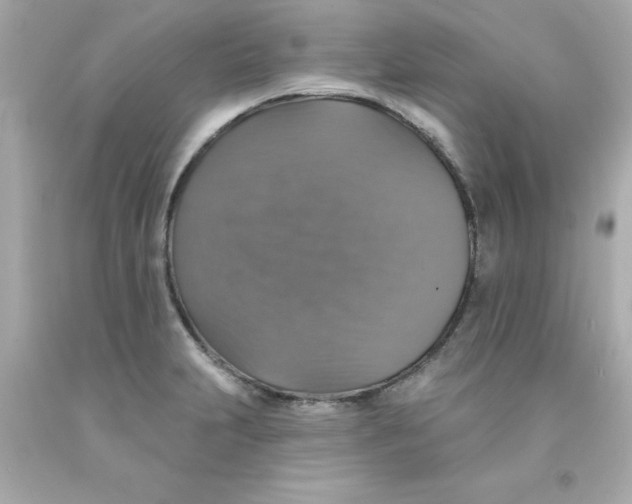 X0000093131231200710241316