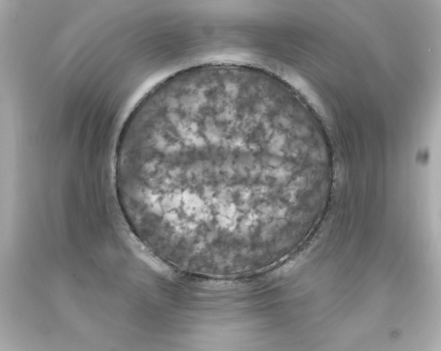 X0000093131232200710241316