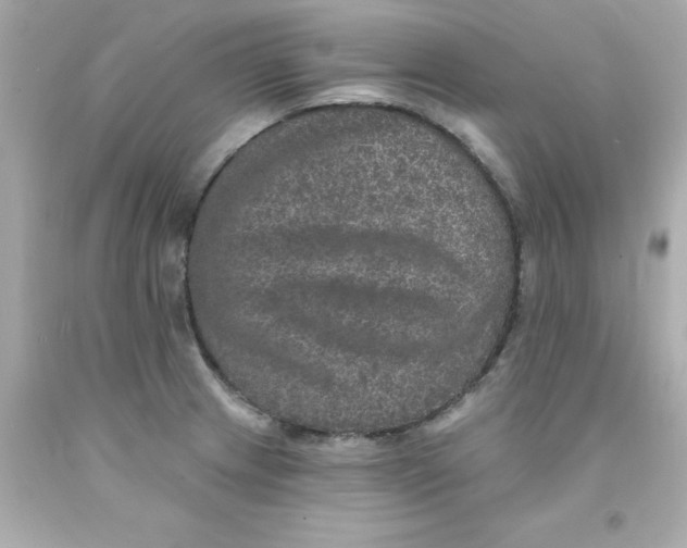 X0000093131233200710241316