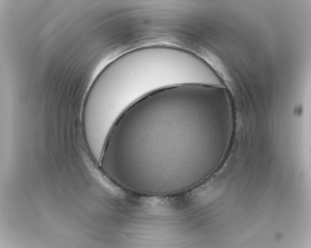 X0000093131234200710241316