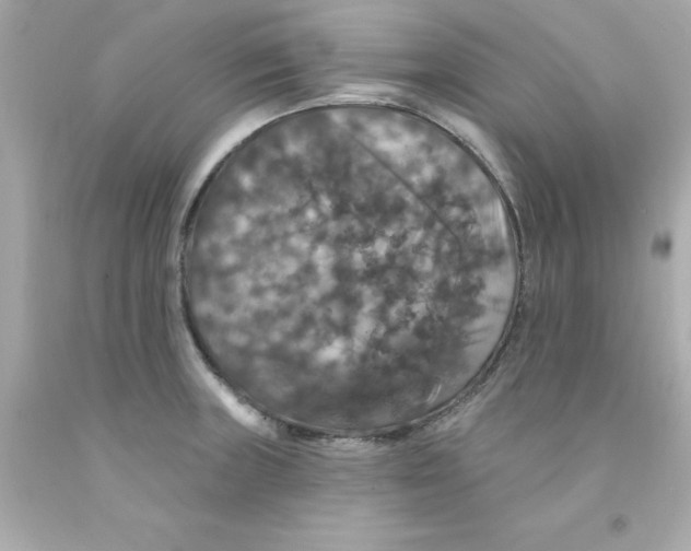 X0000093131235200710241316