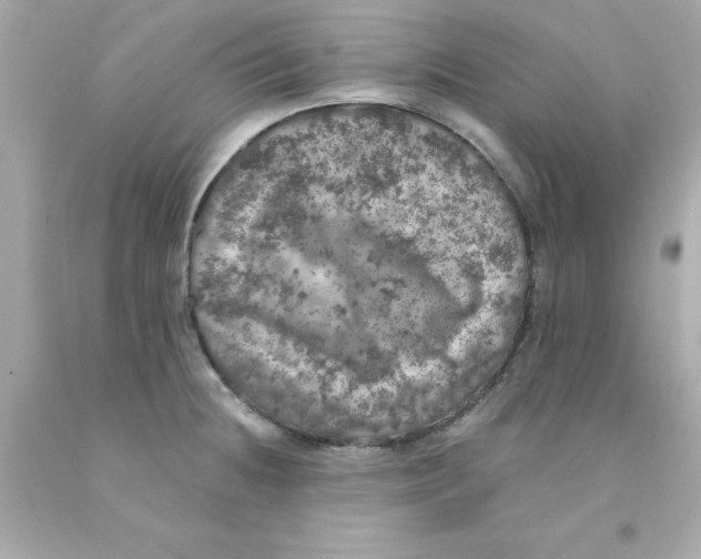 X0000093131236200710241316
