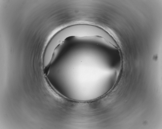 X0000093131238200710241316