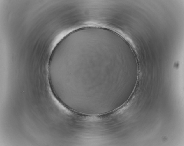 X0000093131239200710241316