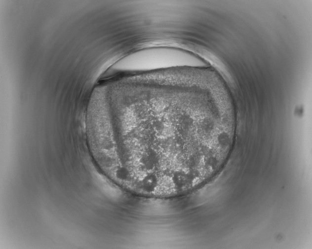 X0000093131241200710241316